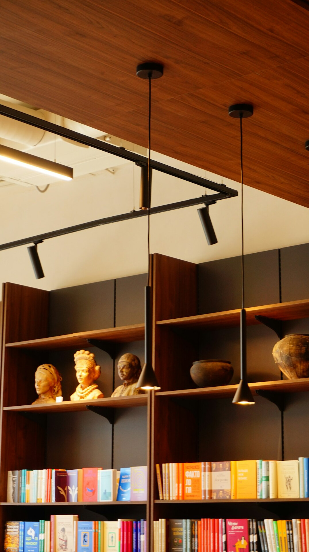 Tall library shelves filled with books